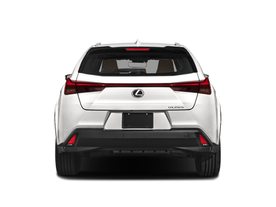 2023 Lexus UX UX 250h Premium
