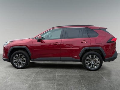 2024 Toyota RAV4 Hybrid XLE Premium