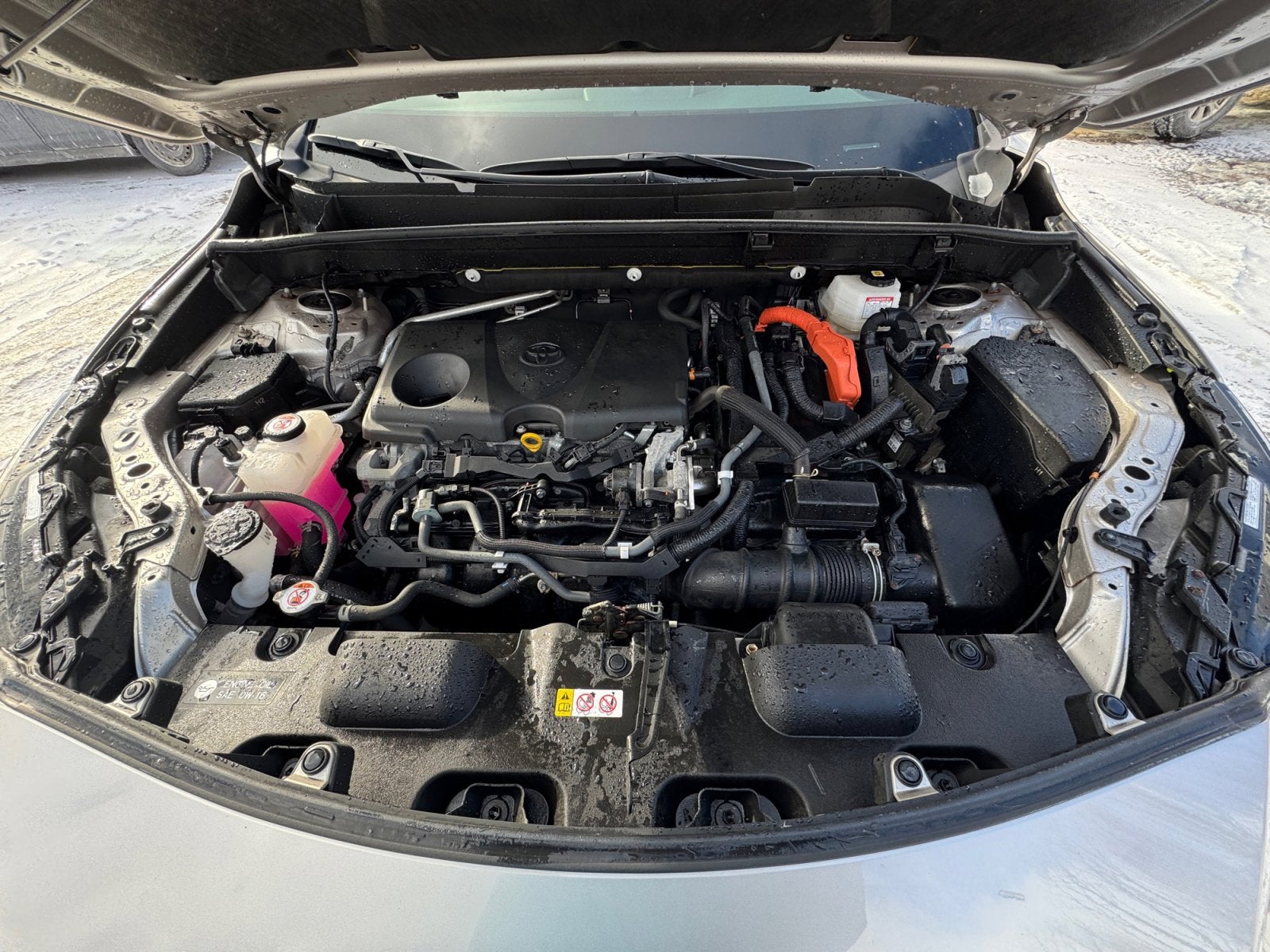 2021 Toyota Venza XLE