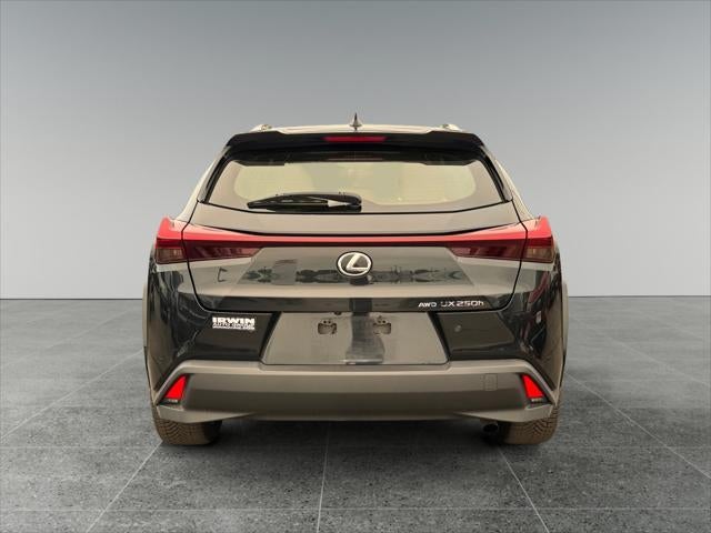 2023 Lexus UX UX 250h Premium